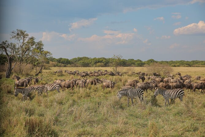 2 Days Tanzania Midrange Group Join Safari - Itinerary Highlights