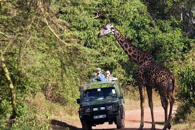 2 Days Tarangire & Ngorongoro Budget Mid-range Camping Safari Tour Tanzania - Highlights of Tarangire National Park