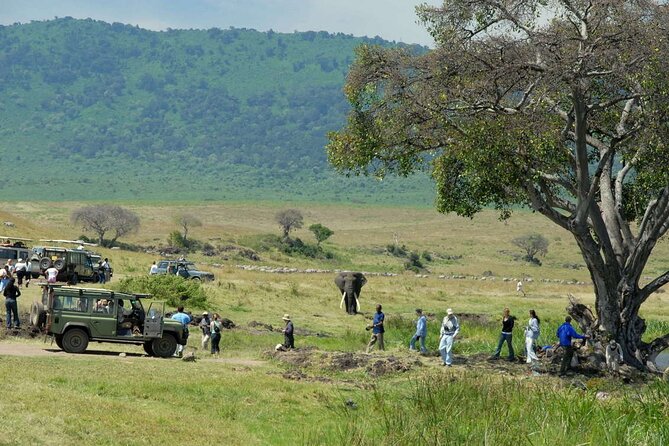 2 Days Tour Tarangire & Ngorongoro - Pickup and Start Time