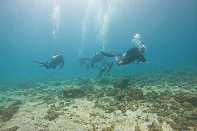 2 Dives for Certified Divers in Fujairah With BBQ Lunch - Included Amenities and Services