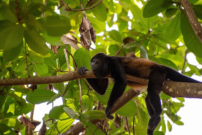 2 Hour ATV Private Tour in Costa Rica - Schedule and Availability