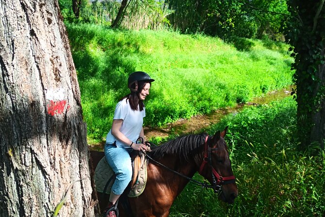 2 Hour Horseback Ride for Experts in Valgraziosa (Pisa) - Safety and Requirements