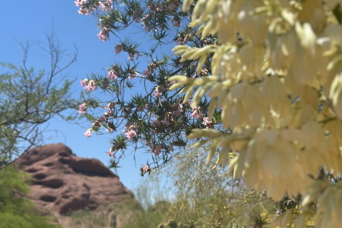 2 Hour Photography Tour of Phoenix Desert Botanical Gardens - Tour Inclusions