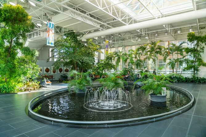 2-Hour Private Walking Tour of Calgarys Highlights - Schedule and Availability