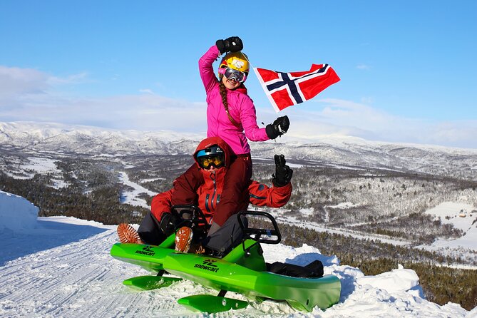 2-Hour Racing Toboggan at Dagali Fjellpark Near Geilo in Norway - Sled Specifications and Safety