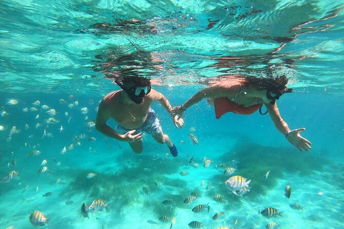 2 Hour Speed Boat and Snorkeling Adventure in Punta Cana - Health and Safety Information
