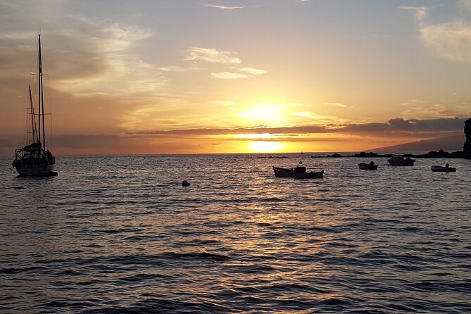 2 Hour Trip to See Whales Dolphins Puerto Colon Adeje - Cancellation and Refund Policy