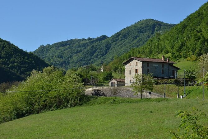 2-Hour Visit to the Slow Food Farmers Market and Agri-Aperitif - Discovering the Flavors of Emilia-Romagna