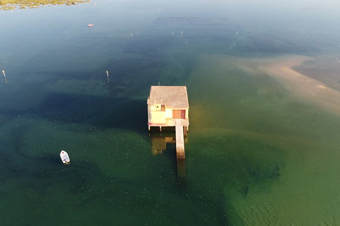 2 Hours Boat Tour in Ria Formosa - Accessibility and Accommodations