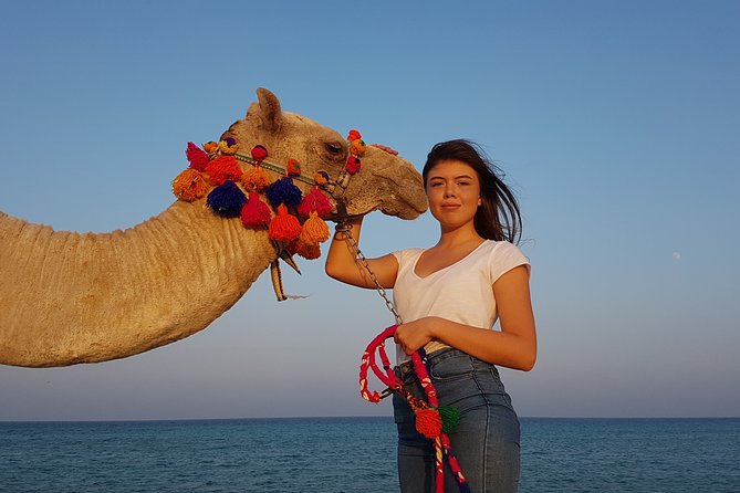 2 Hours Camel Riding at Amazing Desert & Sea With Transfer - Hurghada - Pickup and Accessibility