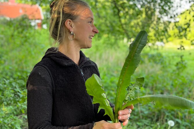 2- Hours Herb Walking Tour - Meeting and Start Point