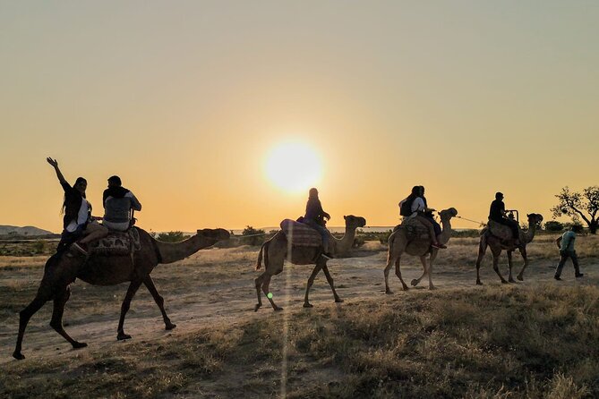 2 Hours of Camel Safari in Cappadocia - Pricing Information