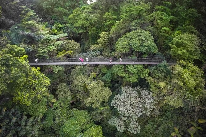 2-in-1 Arenal Hanging Bridges + La Fortuna Waterfall - La Fortuna Waterfall Exploration