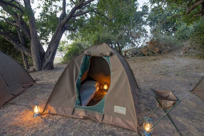 2 Nights 3 Days Chobe Safari Ex Livingstone/ Victoria Falls - Wildlife Viewing Opportunities