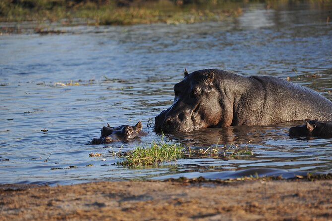 2 Nights 3 Days Overnight Mokoro Trail Okavango Delta - Inclusions and Amenities
