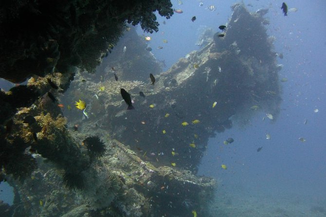 2 PADI Certified Dives at Tulamben From Bali - Inclusions for Your Dive Trip