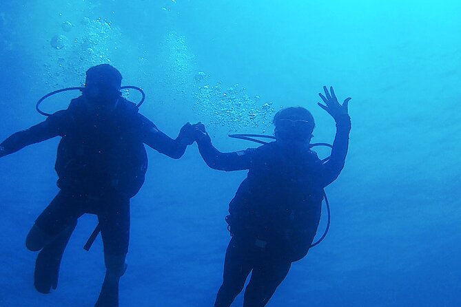 2 Tank Dive (For Certified Divers) - Dive Experience