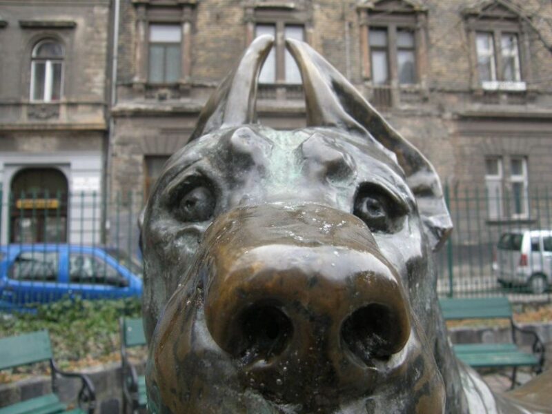 22 Dog-Statues in Budapest - an Unusual Tour - Itinerary Highlights