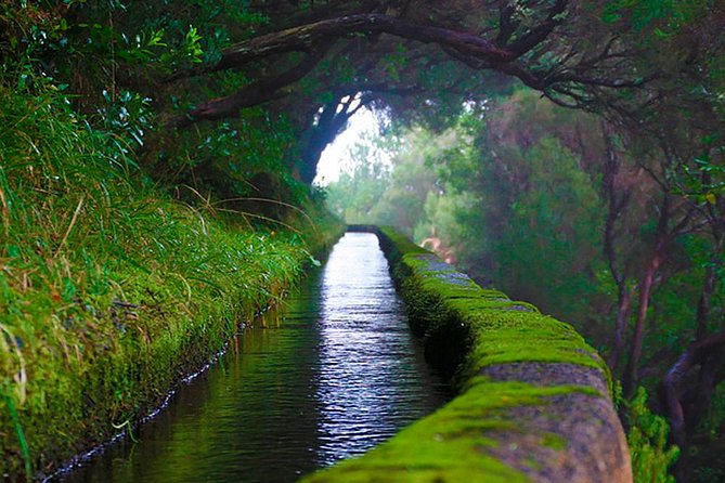 25 Fountains Walk / Lost In The Beautiful Forest - Transportation and Accessibility