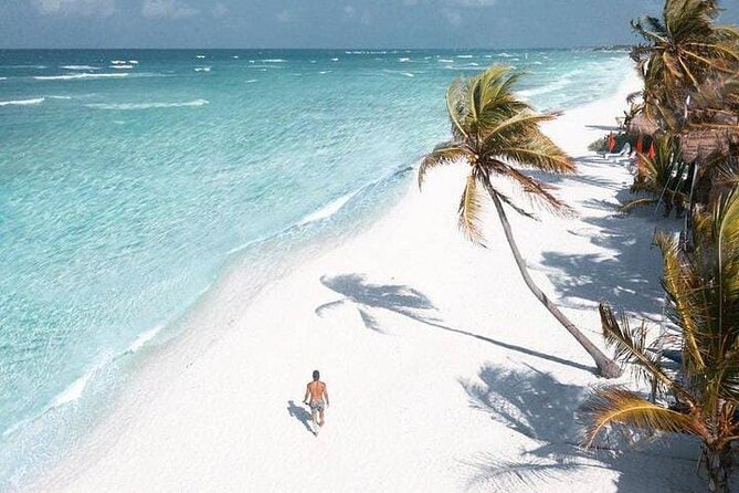 2x1 Tour: Isla Contoy, Isla Mujeres, Open Bar, Lunch and Transfers - Inclusions