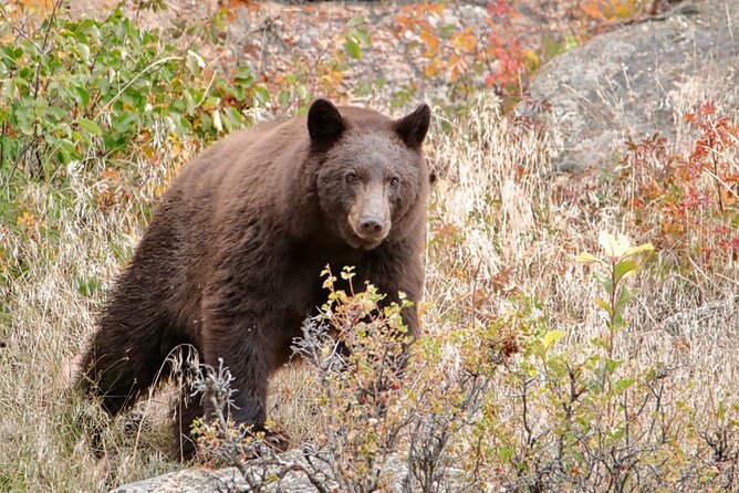 3/4 Day Rocky Mountain NP Mountain to Sky+Bear Lake Rd Tour - RMNPhotographer - Meeting and Pickup Details