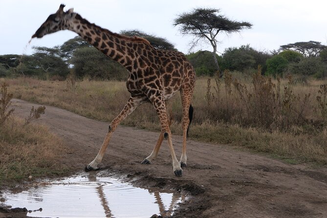 3-Day / 2 Nights Group Safari Serengeti & Ngorongoro Crater - Exclusions