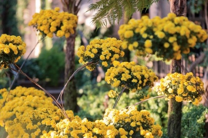 3-Day Busch Gardens Christmas Carnival Tour From New York & New Jersey - Attraction Admission Fees