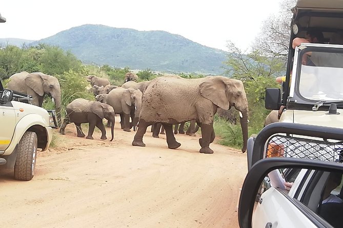3 Day Kruger National Park End With Panaroma - Panoramic Views and Vistas
