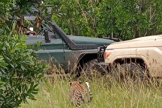 3-Day Maasai Mara Safari Tour in a 4 X4 Land Cruiser Jeep - Itinerary Overview