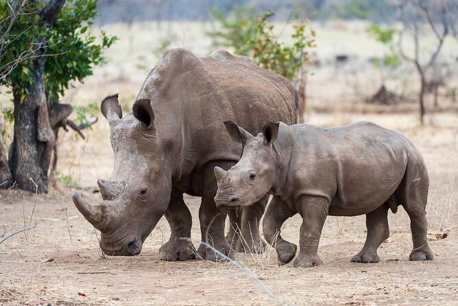3-Day Masai Mara Group Safari With Pick up - Itinerary Highlights