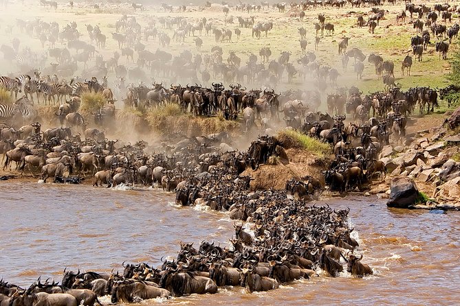 3-Day Masai Mara Safari Tour to See the Big Five and Wildebeest Migration - Itinerary Breakdown