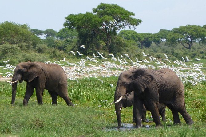 3-Day Mind Refreshing in Murchison Falls National Park - Daily Itinerary and Activities