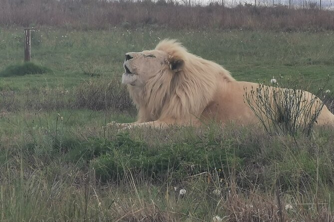 3-Day Private Tour Johannesburg - See Everything - Inclusions