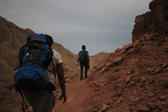 3-Day Small-Group Guided Hiking Expedition in the Sinai Desert - Guided Hike Through the Sinai Desert
