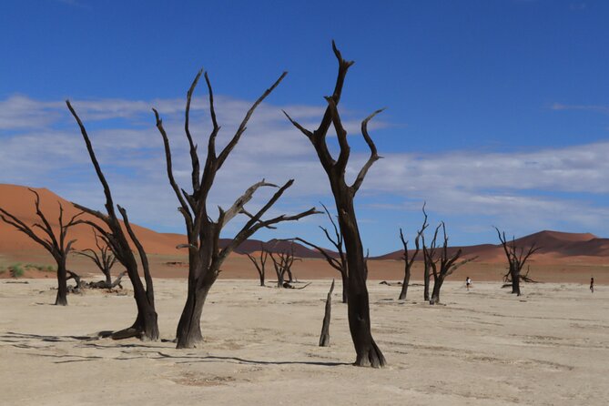 3 Day Sossusvlei Camping Schedule and Sandwich Habor - Detailed Itinerary