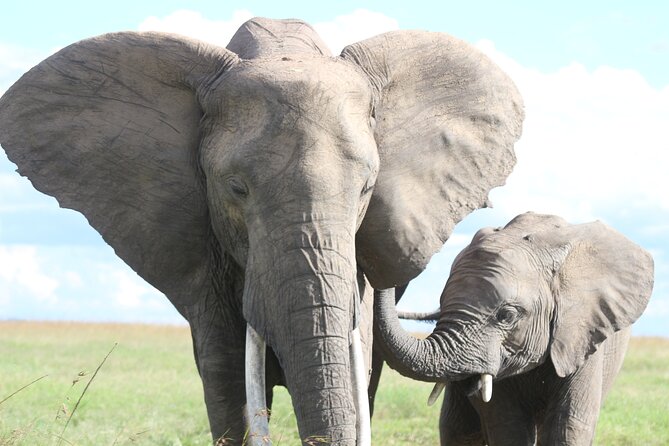 3-Day Sweetwaters: Ol Pejeta Conservancy Safari From Nairobi - Accommodation Details