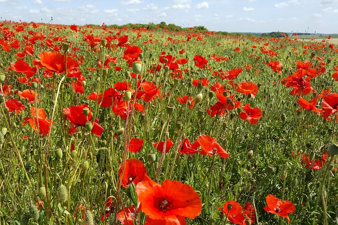 3 Day Tour Canadians in WW1 Starting From Lille or Ypres - Pickup and Start Details