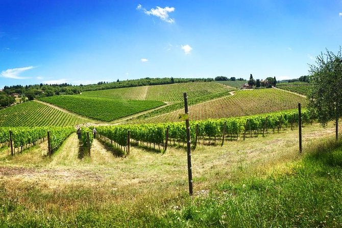 3-Day Tuscany Wine Tour Experience Review - Exploring Tuscan Countryside