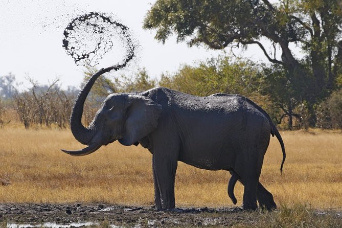 3 Day Wilderness Trail: Moremi, Khwai & East Okavango Delta - WildCamping Safari - Inclusions and Exclusions