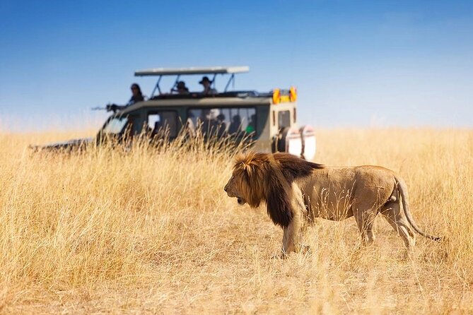 3 Days - 2 Nights Maasai Mara From Nairobi - Inclusions and Benefits