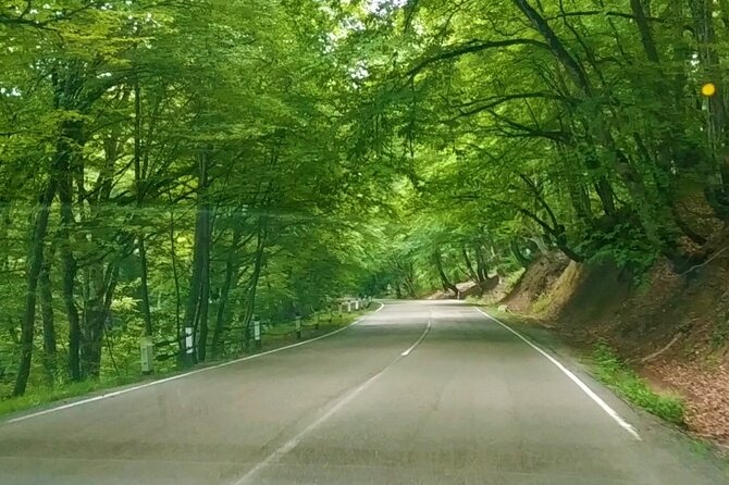 3 Days/2 Nights Tusheti Region Jeep Tour Package in Georgia - Pickup Information