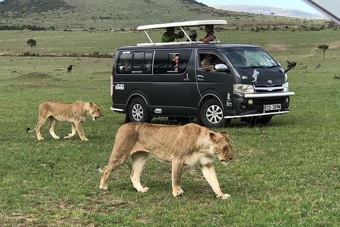 3 Days Adventurous Maasai Mara Budget Group Safari - Accommodation Details