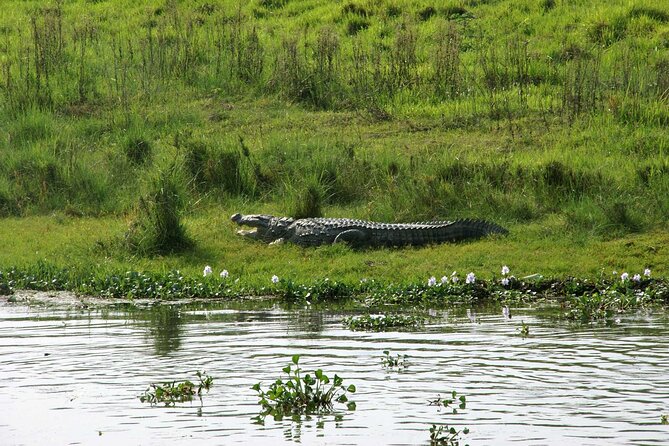3 Days and 2 Nights Chitwan National Park Safari Tour in Pokhara - Itinerary Overview