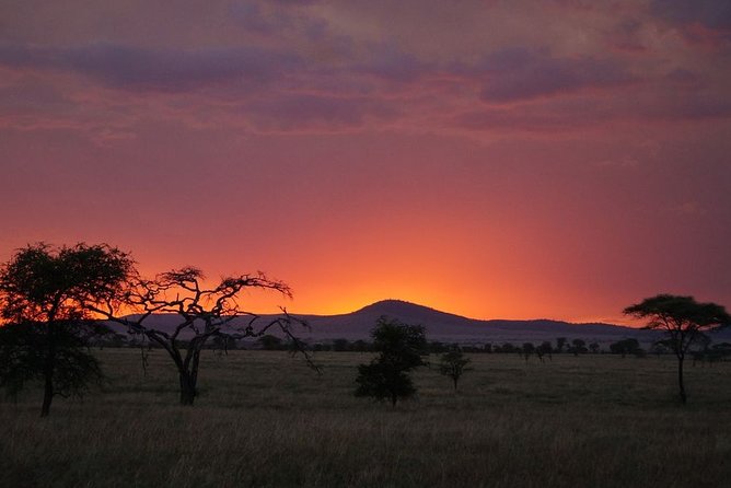 3 Days Budget Masai Mara Safari - Wildlife Sightings