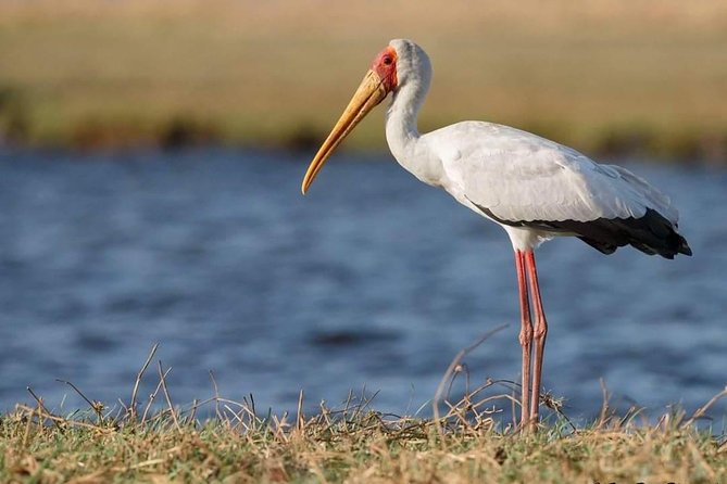 3 Days Camping Safari Tour Tanzania - Pricing and Payment Details