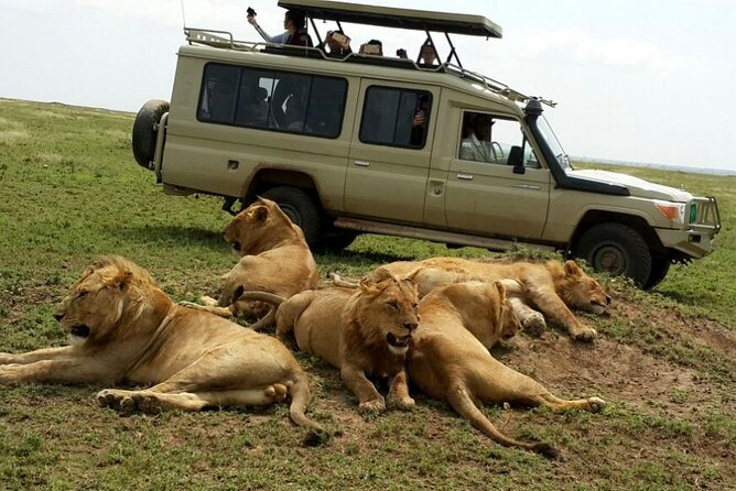 3 Days Fly in & Out Serengeti Park - Inclusions and Exclusions