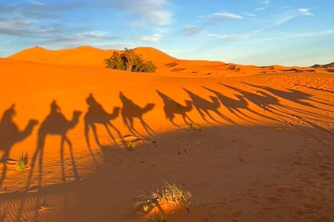 3 Days Group Tour From Marrakech to Merzouga Desert - Itinerary Overview