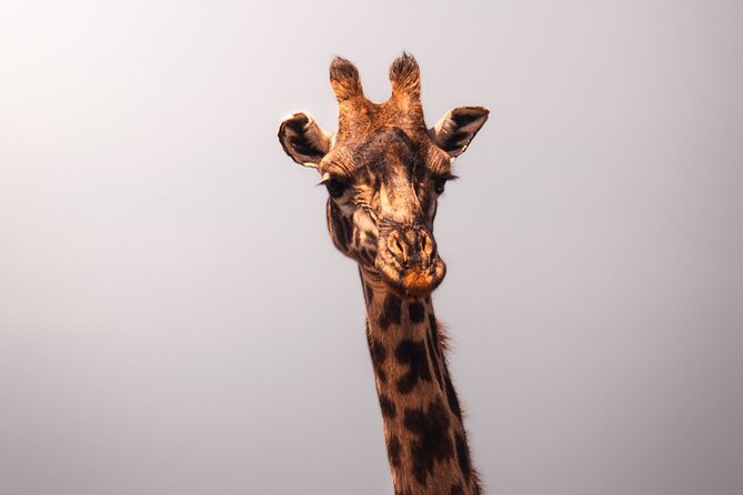 3 Days Group Tour Tarangire, Ngorongoro & Lake Manyara Park - Pricing Details