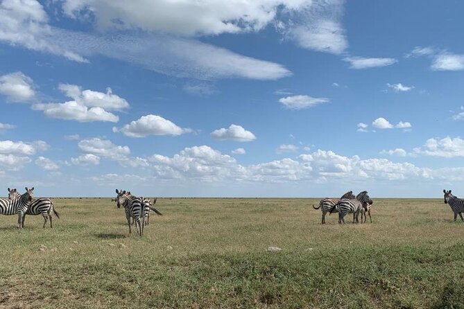 3 Days Lake Manyara, Tarangire, Ngorongoro Crater Group (Camping) - Accommodations and Camping