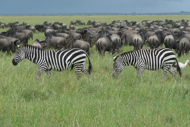 3 Days Lodge Safari - Detailed Itinerary